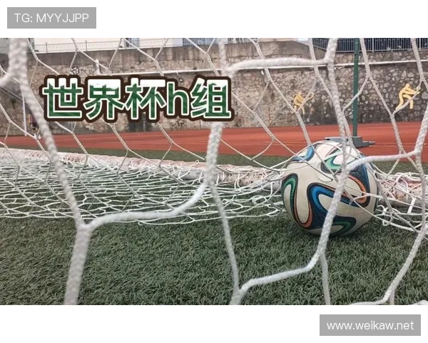 世界杯H组战术风格全解析